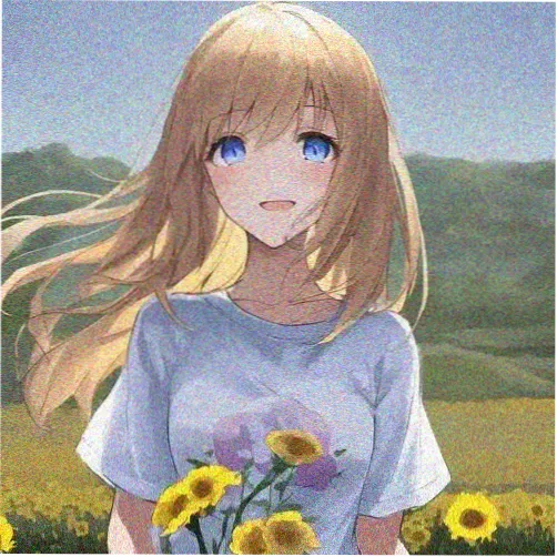 用户Nora的头像